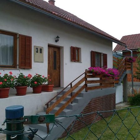 Apartman Nina Licko Petrovo Selo Exterior photo